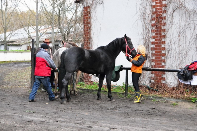 20121103_120259_DSC_0371