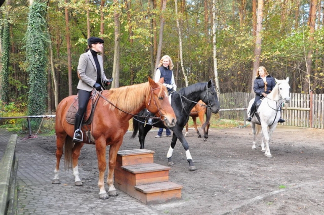 20121103_122132_DSC_0432