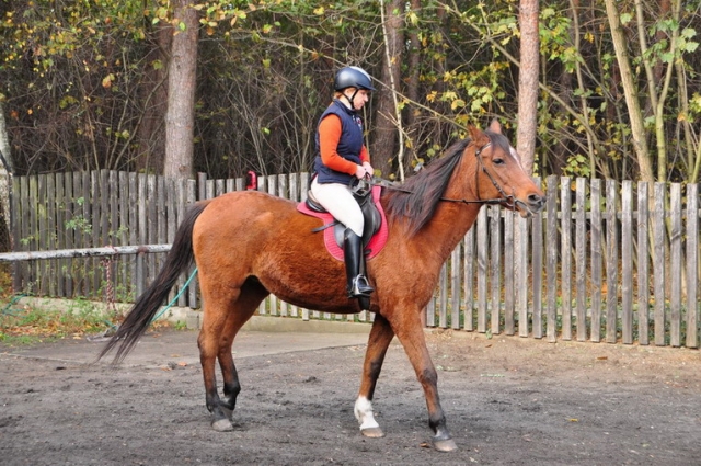 20121103_122255_DSC_0444