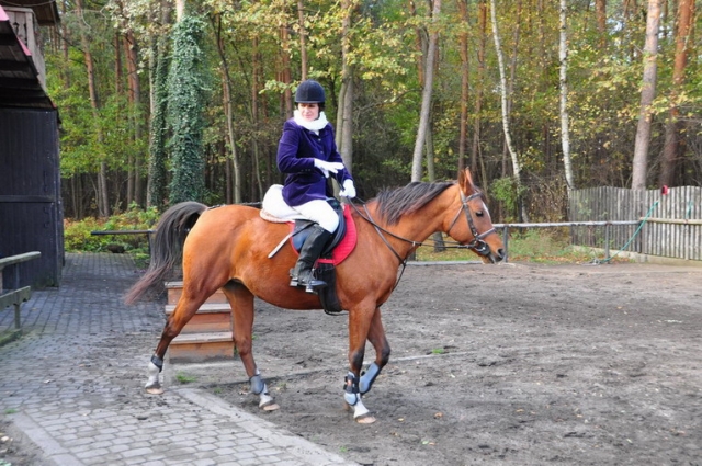 20121103_122931_DSC_0466