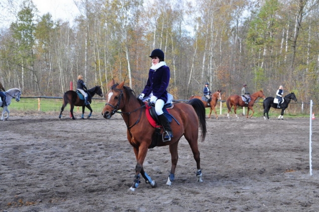 20121103_123506_DSC_0517